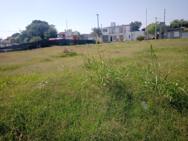 El Parque de los Yuyos