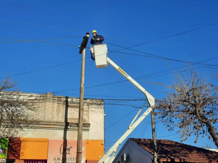 La Cooperativa realizó trabajos en el tendido eléctrico