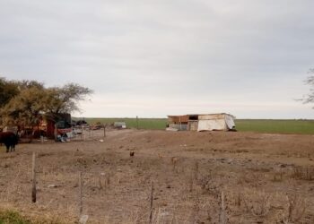 Numerosos asentamientos precarios a la vera de la Ruta 13
