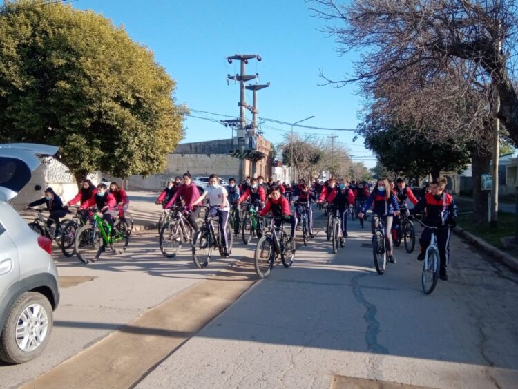 El Zuvi bicicletea y teje
