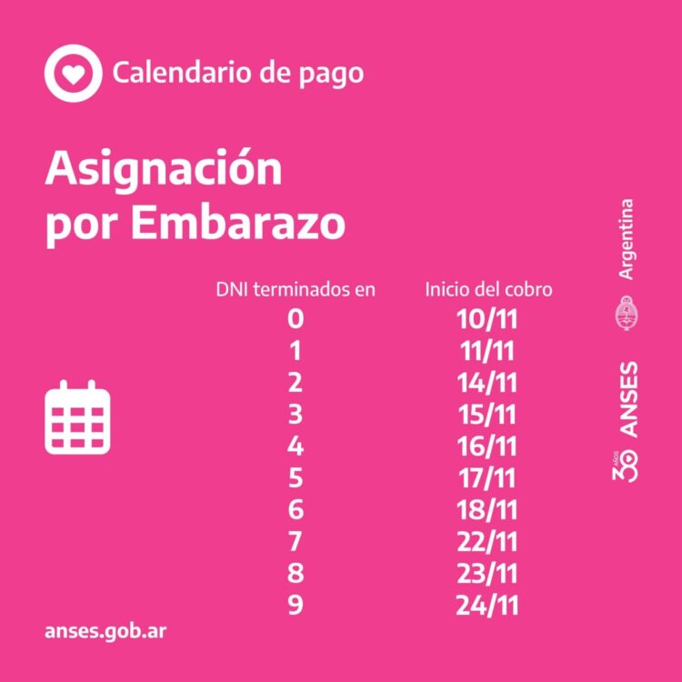Calendario de pagos de Anses correspondiente al mes de noviembre