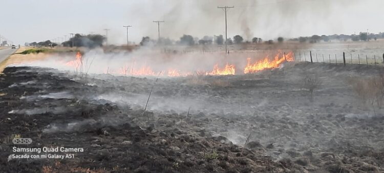 Bomberos sofocaron un nuevo incendio de banquinas
