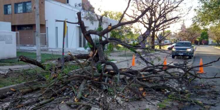 Daños en la ciudad y región provocó la tormenta de anoche