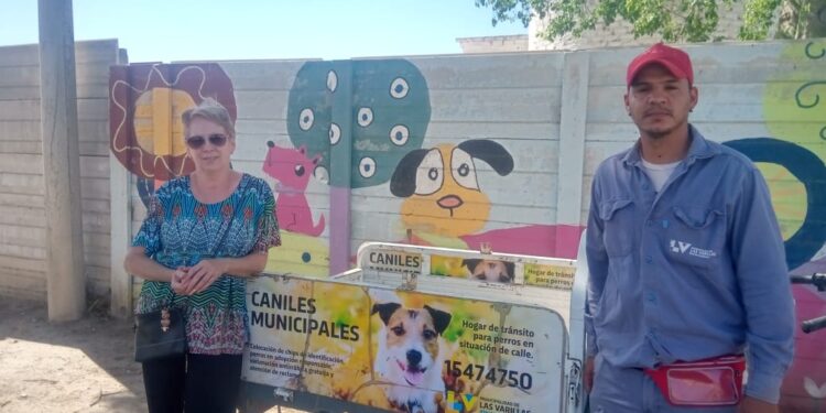 Están saliendo más animales  en  adopción que los que entran a los caniles