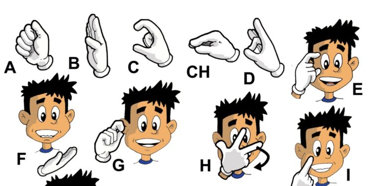 Proyecto para la creación de un Registro de Lengua de Señas