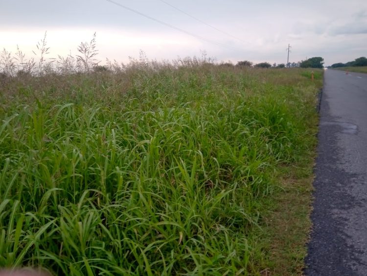 Los otros peligros en las rutas que nos conducen a nuestra ciudad