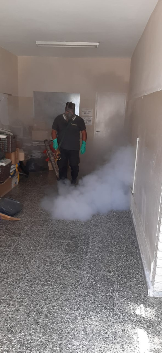 Desinfección en escuelas previa al iniciode clases