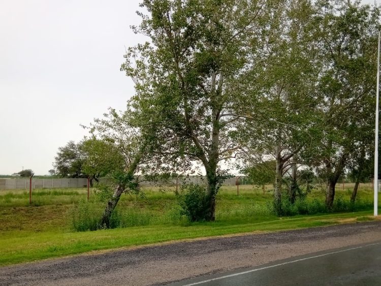 Los otros peligros en las rutas que nos conducen a nuestra ciudad
