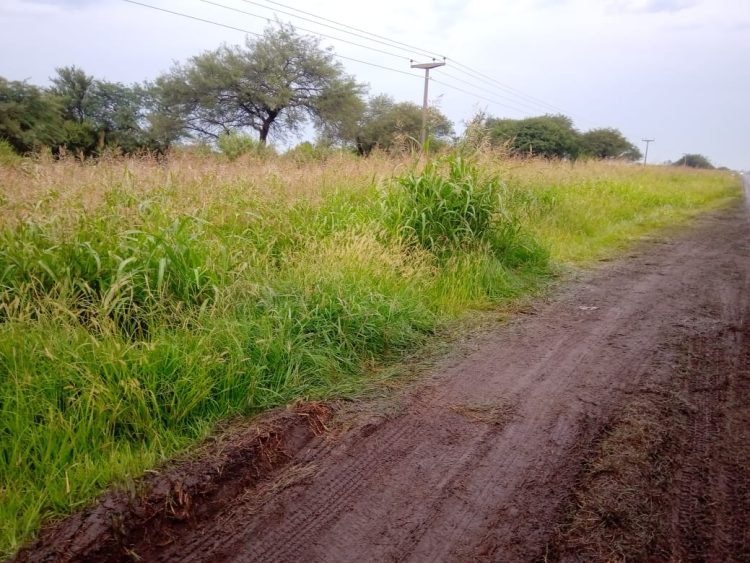 Los otros peligros en las rutas que nos conducen a nuestra ciudad