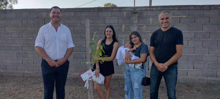 Programa Sembrando Vida: plantaron  20 árboles