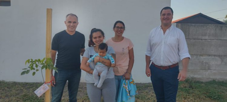 Programa Sembrando Vida: plantaron  20 árboles