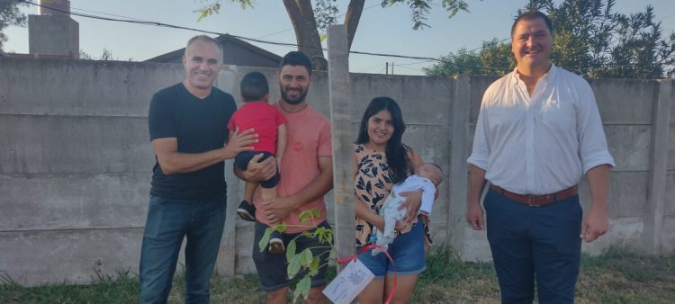 Programa Sembrando Vida: plantaron  20 árboles