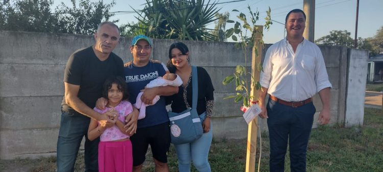Programa Sembrando Vida: plantaron  20 árboles