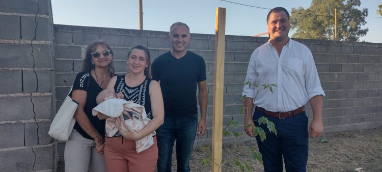 Programa Sembrando Vida: plantaron  20 árboles