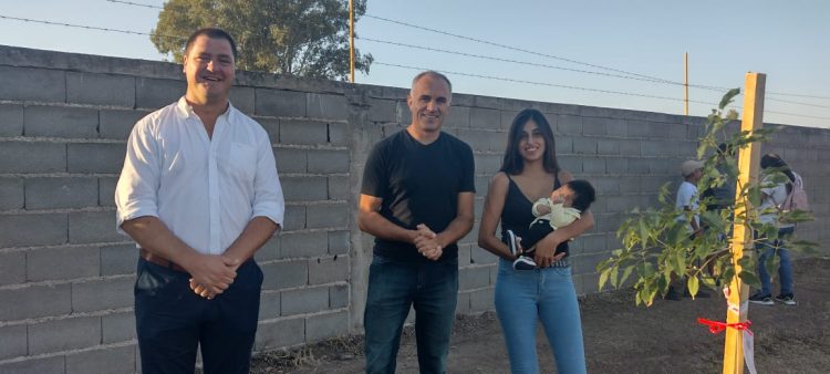 Programa Sembrando Vida: plantaron  20 árboles
