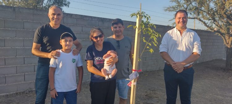 Programa Sembrando Vida: plantaron  20 árboles