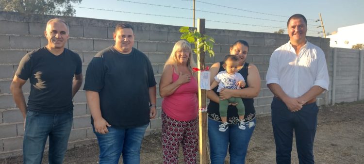 Programa Sembrando Vida: plantaron  20 árboles