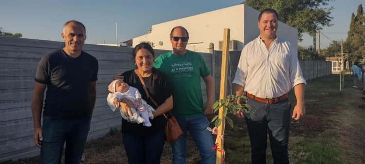 Programa Sembrando Vida: plantaron  20 árboles