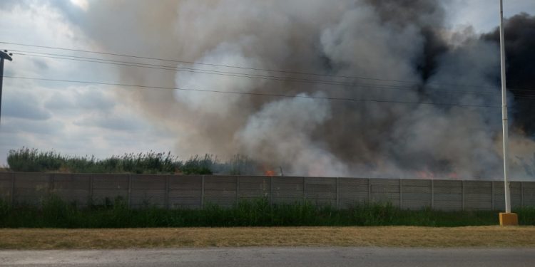 Extinguieron incendio de gran magnitud en Las Varas