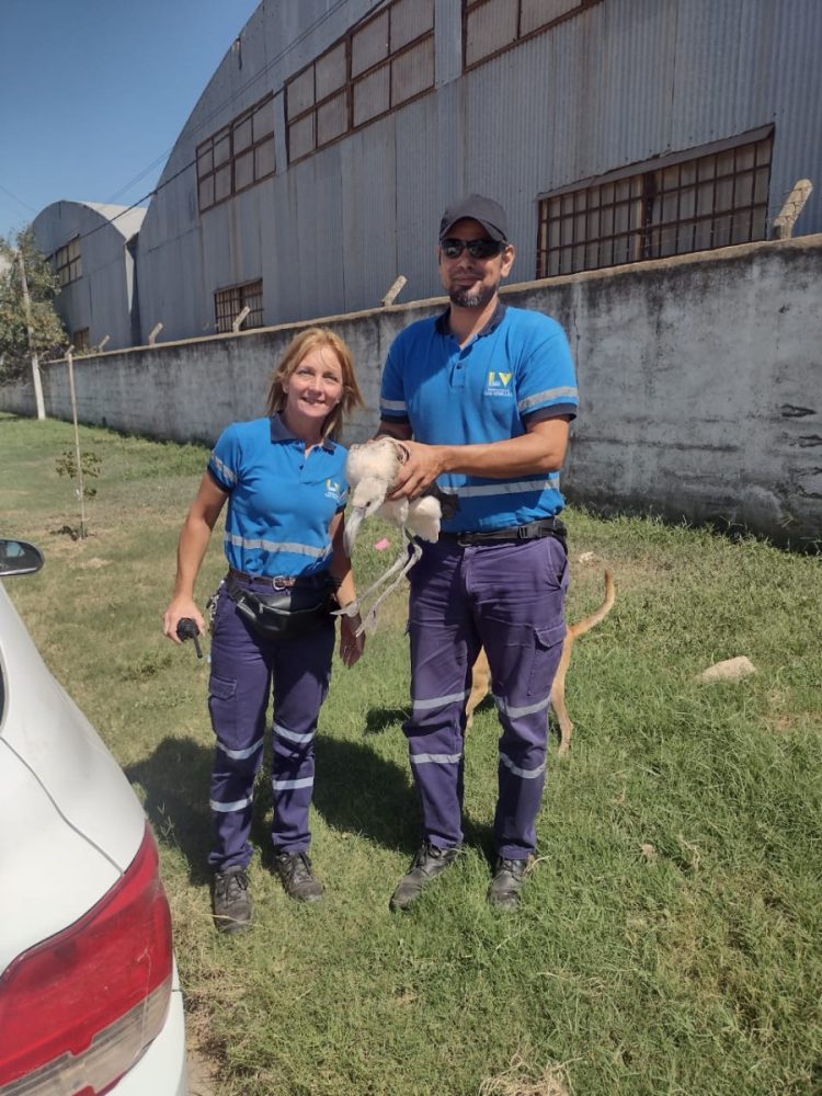 Actividades del área de Tránsito durante la semana anterior