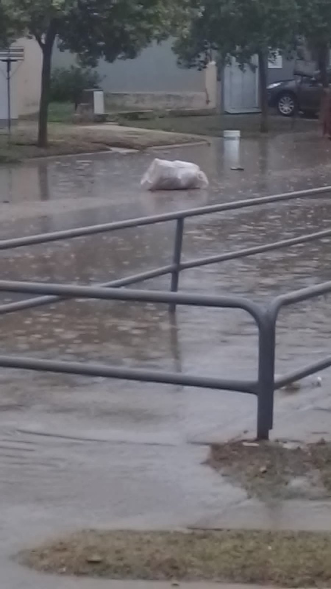 Copiosas lluvias en toda la región