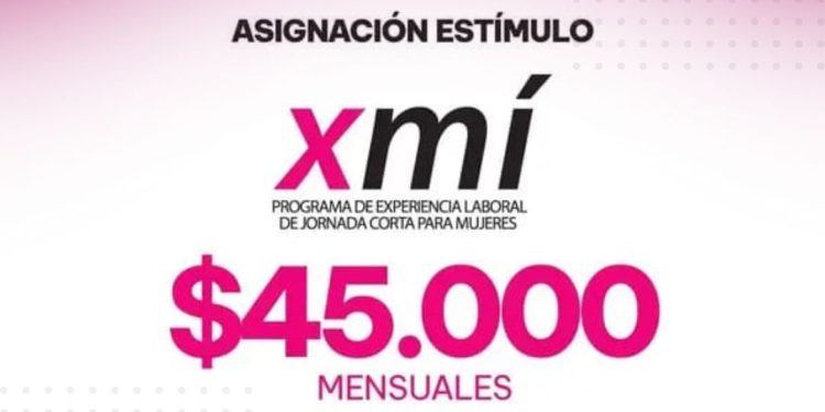¿Cómo acceder al Programa XMI? Aquí te lo contamos