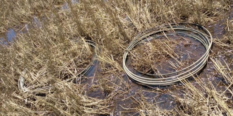 Daño de cables de alta tensión