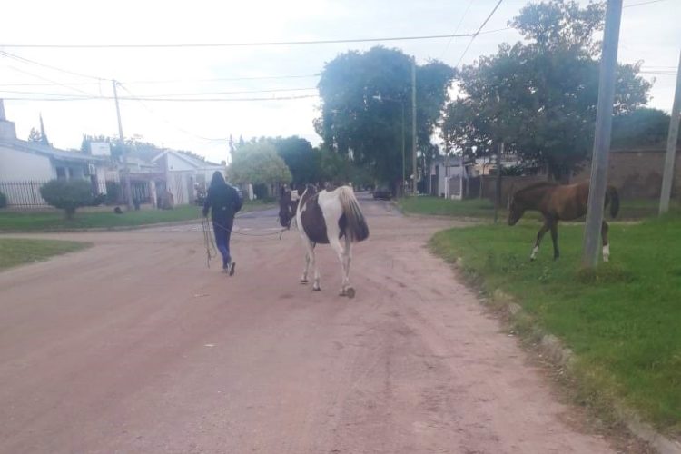 Procedimientos del Departamento de Tránsito