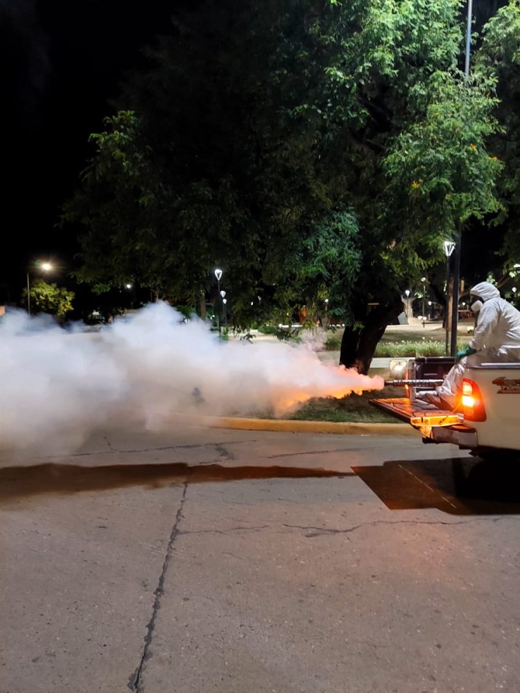 Dengue: fumigaron en los espacios verdes de la ciudad