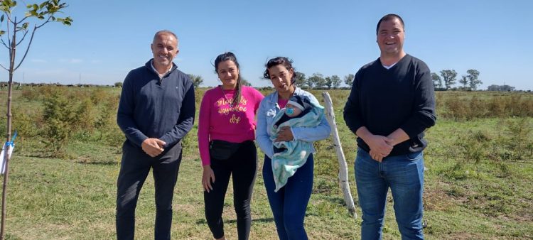 Sembrando vida: la Municipalidad plantó  otros 75 árboles