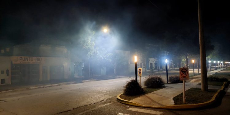 Dengue: fumigaron en los espacios verdes de la ciudad