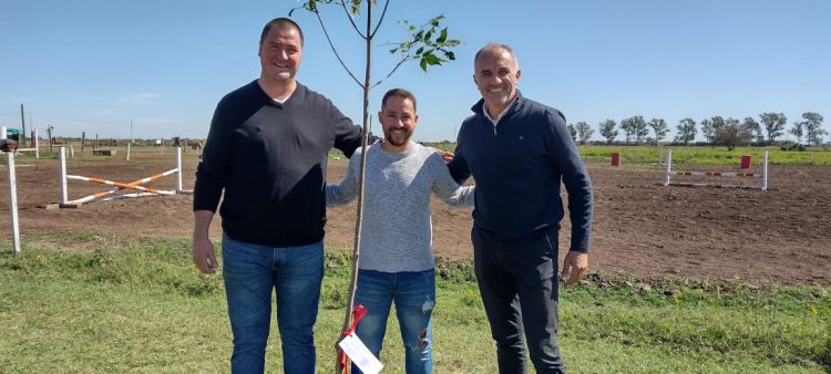 Sembrando vida: la Municipalidad plantó  otros 75 árboles
