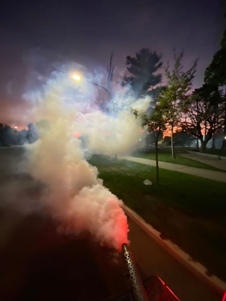 Dengue: fumigaron en los espacios verdes de la ciudad