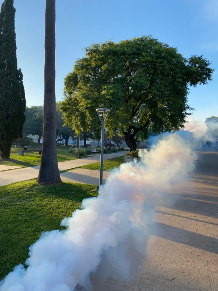 Dengue: fumigaron en los espacios verdes de la ciudad