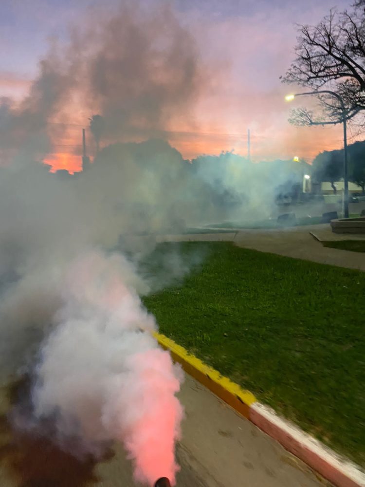 Dengue: fumigaron en los espacios verdes de la ciudad