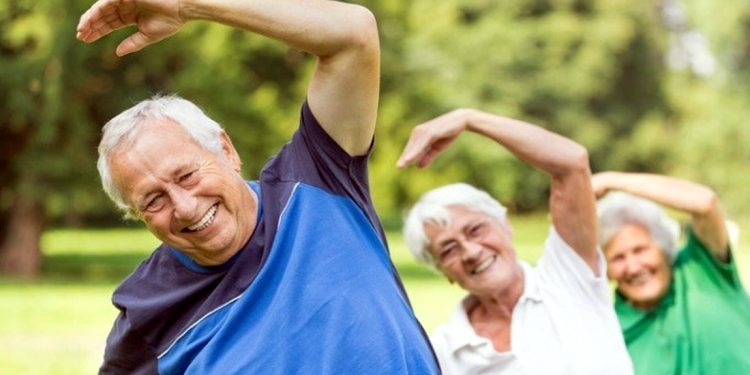 Taller de Gimnasia Para Adultos Mayores