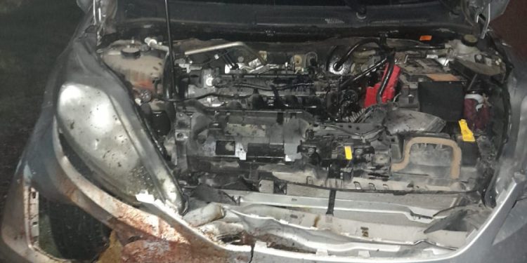 Otro  accidente en la Ruta 13 por animales sueltos sobre la vía provincial