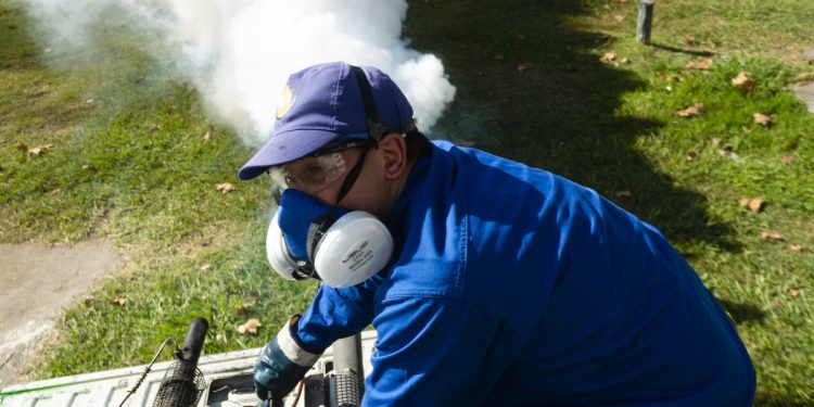 Este martes, el municipio fumigará contra el dengue