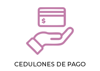 Cedulones municipales: por qué cobran $50 la impresión