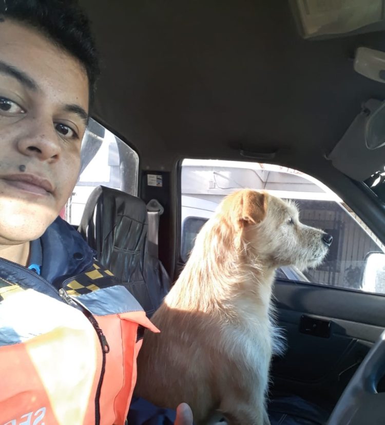 Actividad de la Policía Municipal durante el fin de semana