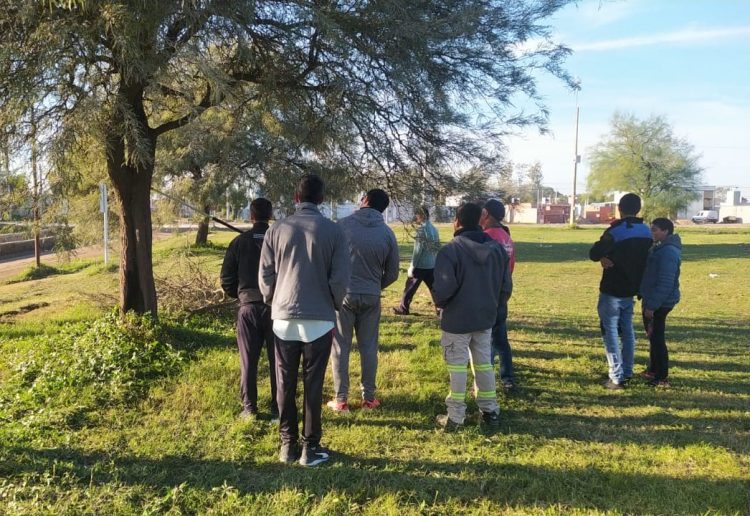 Desde esta semana habrá 15 nuevos podadores habilitados