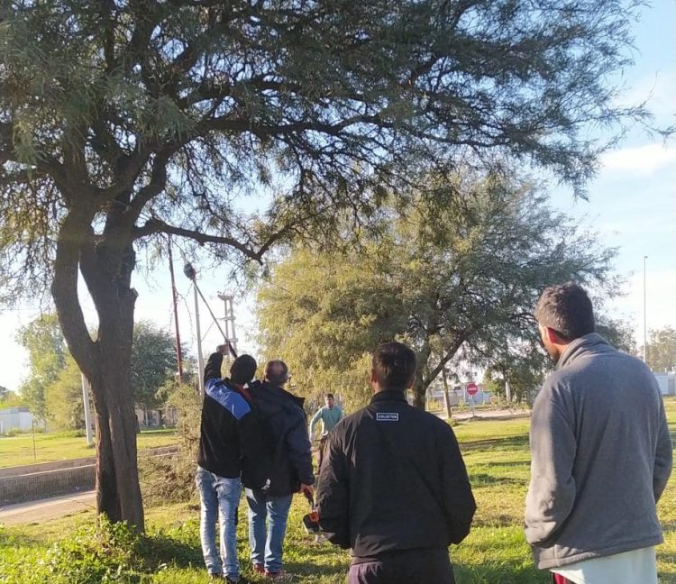 Desde esta semana habrá 15 nuevos podadores habilitados