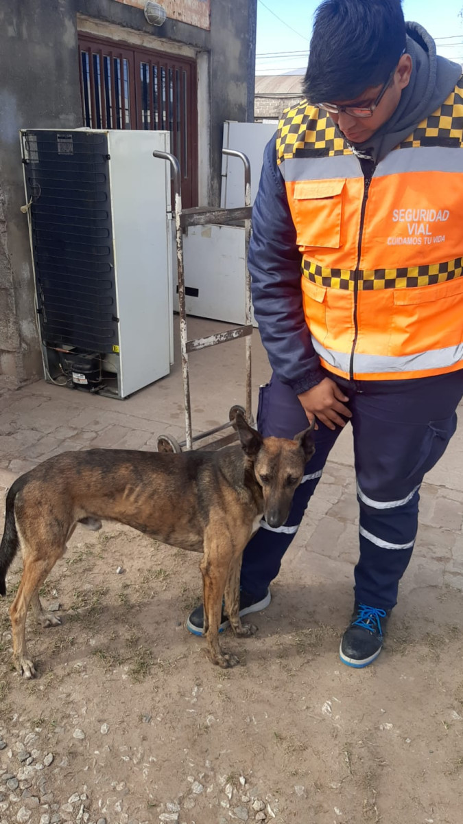 Numerosas actividades desplegó  la policía municipal durante el fin de semana
