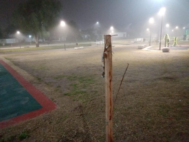 No dura nada sano en nuestra  ciudad