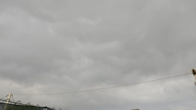 Se vino el viento sur…
