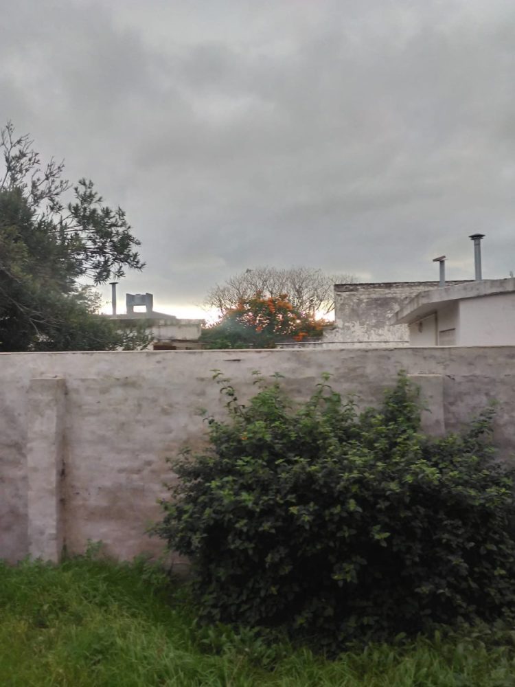 Se vino el viento sur…
