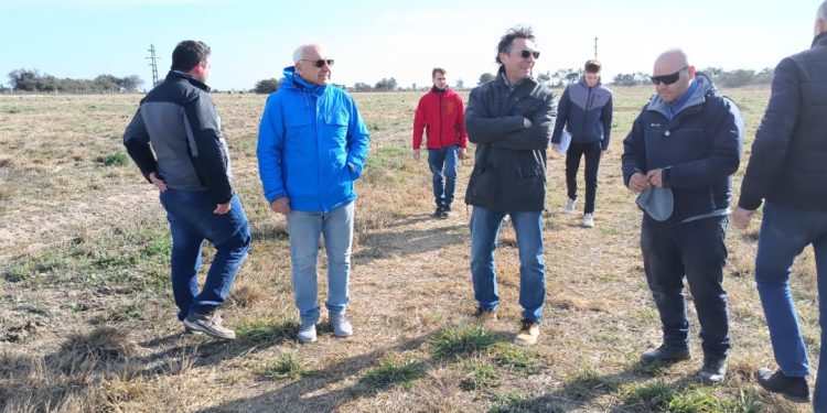 Operarios de EPEC inspeccionan obras de electricidad en el Parque Industrial