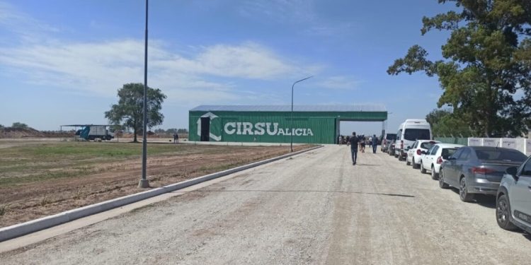 Cómo solucionó Alicia el problema de los basurales