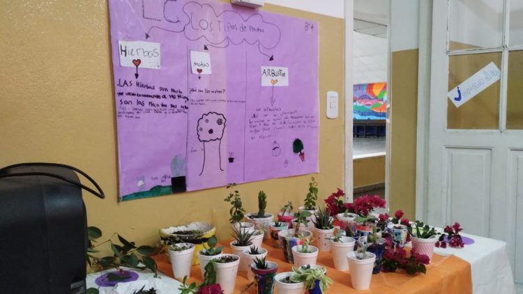 Jornada de Puertas Abiertas en la Escuela Mitre