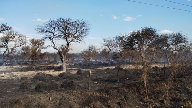 Ocurre ahora: incendio de gran magnitud en el Monte de Las Varillas